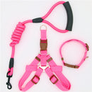 dog leash Nylon Pet Leash for dog & cat Running or Training Collar and Harness