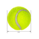24CM Giant Tennis Ball For Dog Chew Toy Big Inflatable Tennis Ball Pet Dog Interactive Toys Pet Supplies Outdoor Cricket Dog Toy