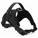 Dog Vest Nylon Bungee Leash