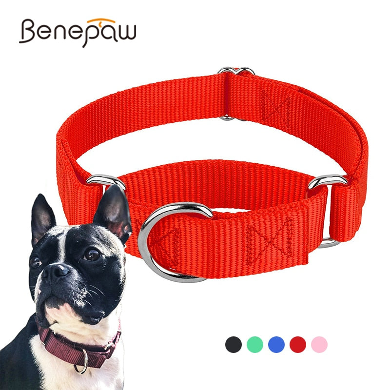 Delray Feed and Supply Designer- Inspired Adjustable Dog Collar – Delray  Feed & Supply